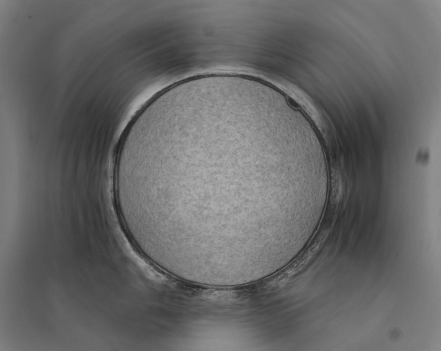 X0000095121006200712301756