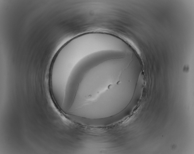 X0000095121007200712301756