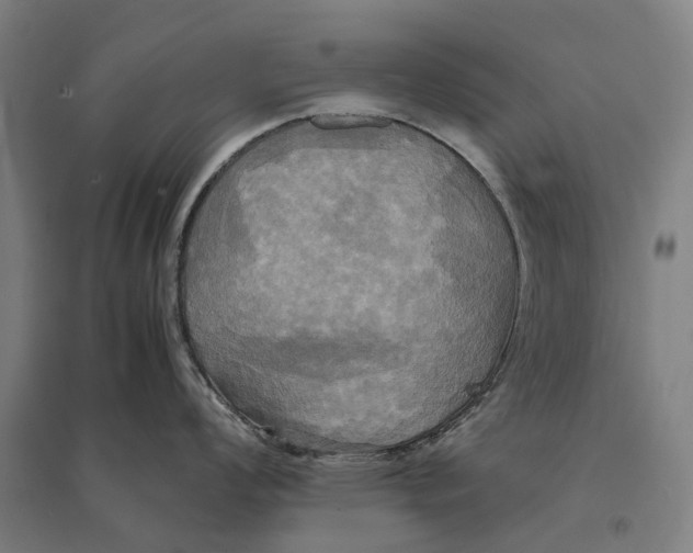 X0000095121008200712301756