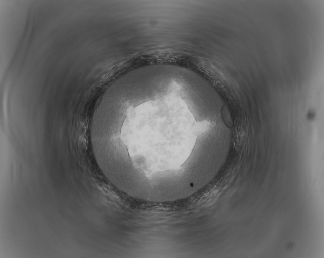 X0000095121010200712301755