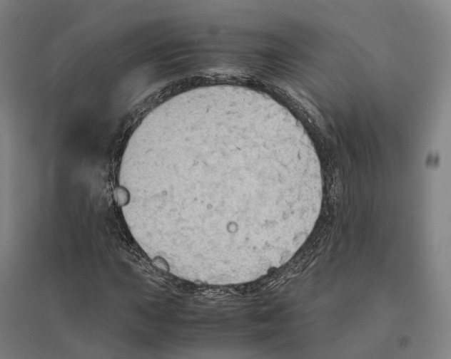 X0000095121015200712301755