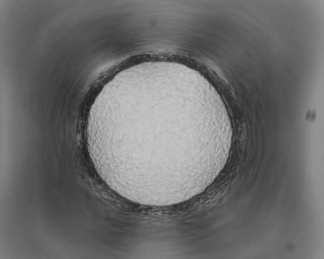 X0000095121016200712301755