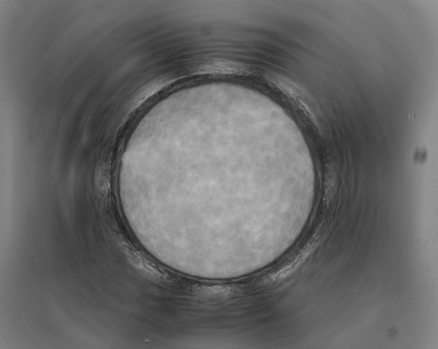 X0000095121017200712301755