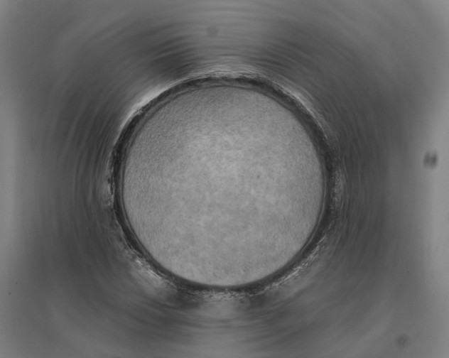 X0000095121018200712301755