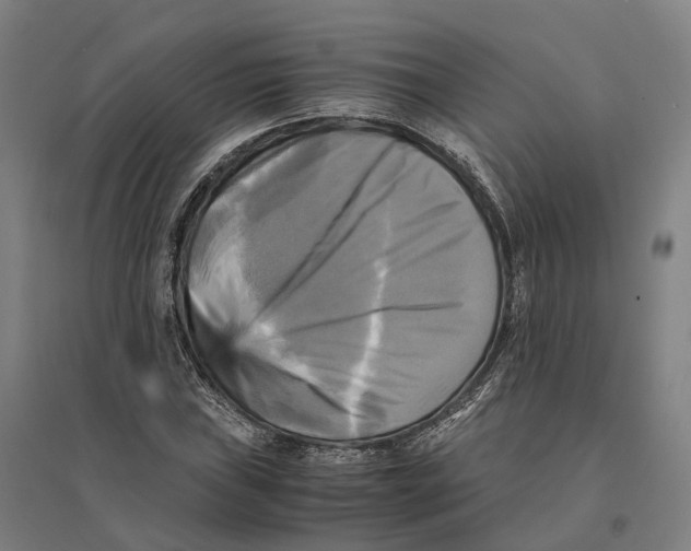 X0000095121019200712301755