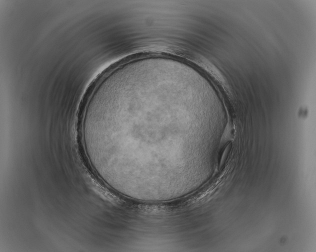 X0000095121020200712301755