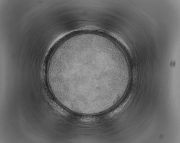 X0000095121021200712301755