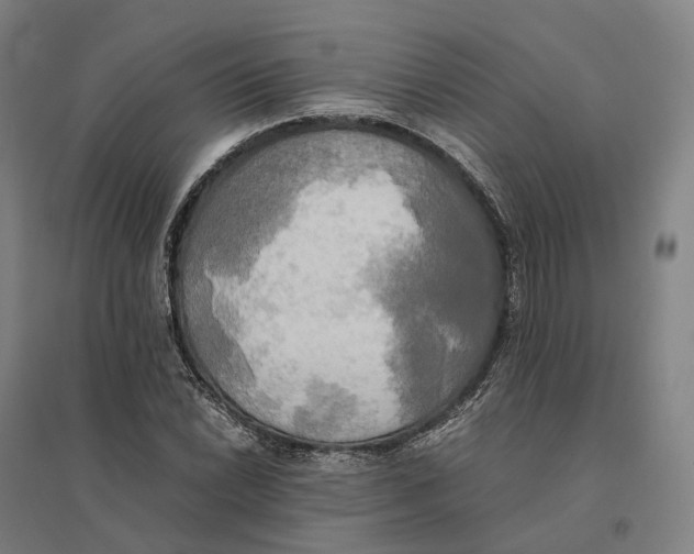 X0000095121022200712301755