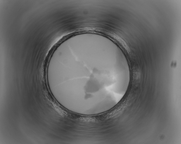 X0000095121023200712301755