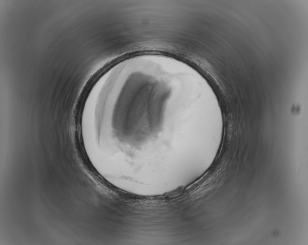 X0000095121024200712301755