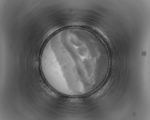 X0000095121025200712301755