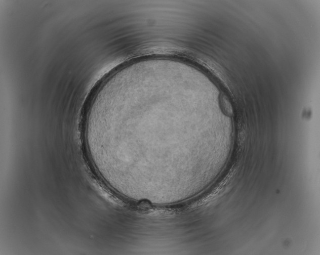 X0000095121026200712301755