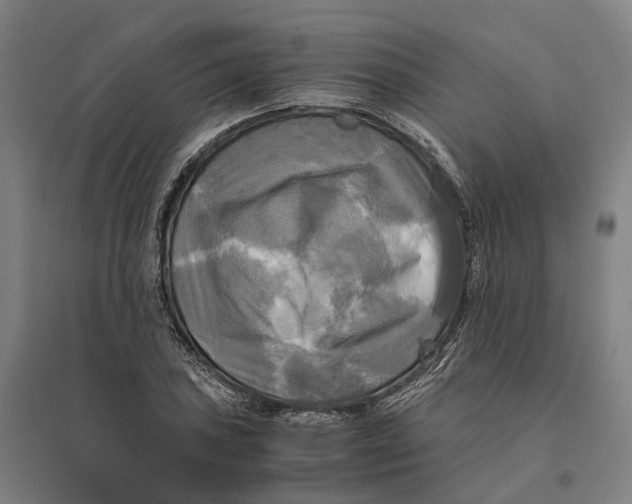 X0000095121027200712301755