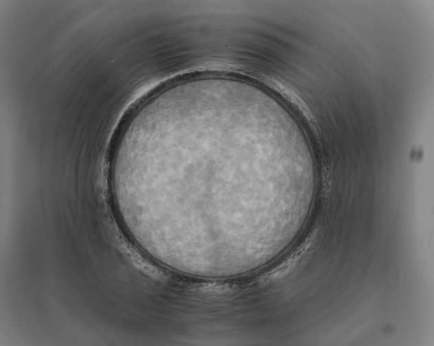 X0000095121029200712301755