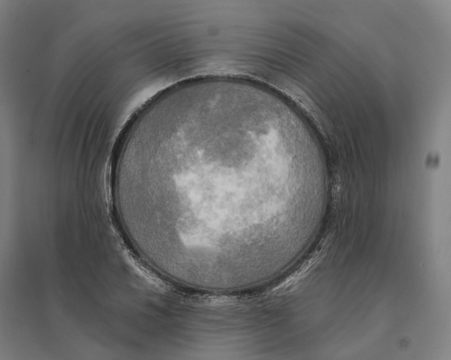 X0000095121030200712301755