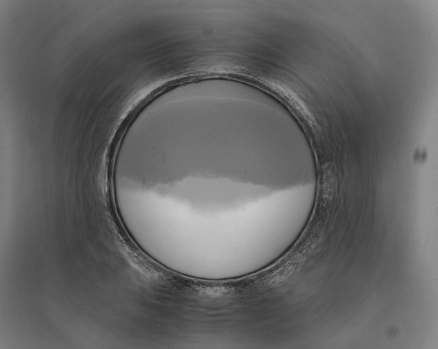 X0000095121031200712301755