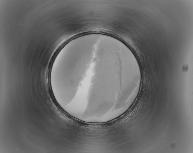 X0000095121032200712301755