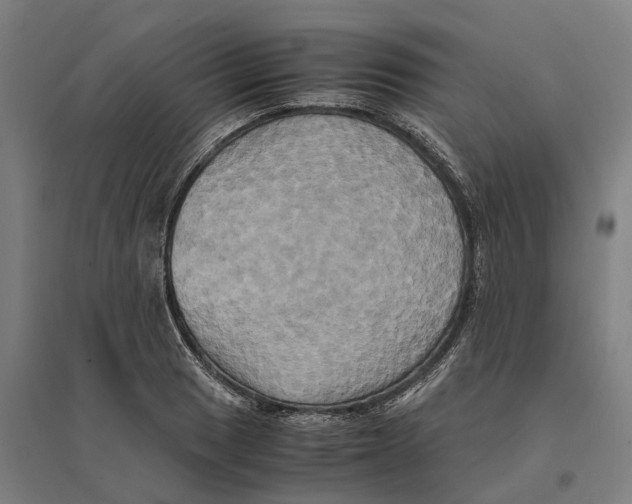 X0000095121033200712301755