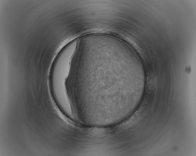 X0000095121034200712301755