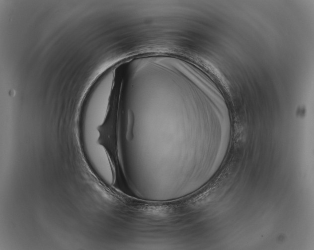 X0000095121035200712301755