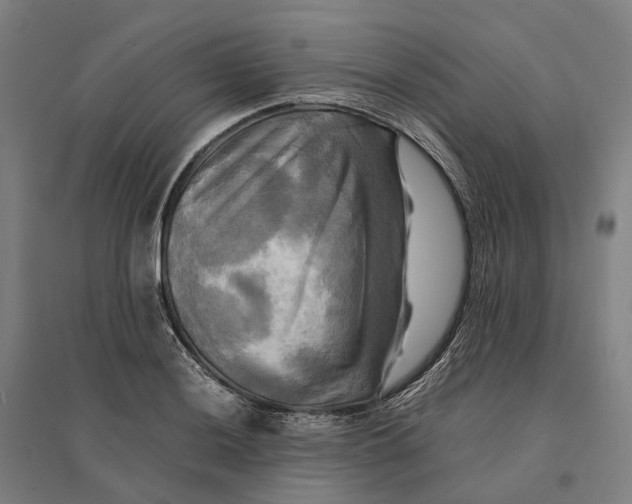 X0000095121036200712301755