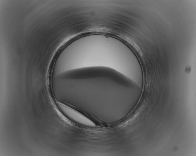 X0000095121037200712301755