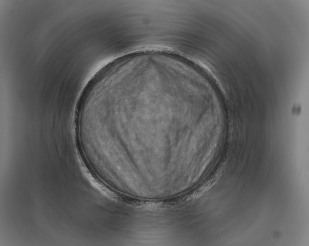 X0000095121038200712301756