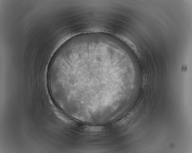 X0000095121039200712301756