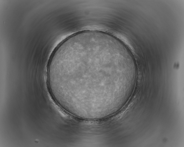 X0000095121040200712301756