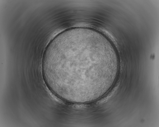 X0000095121041200712301756