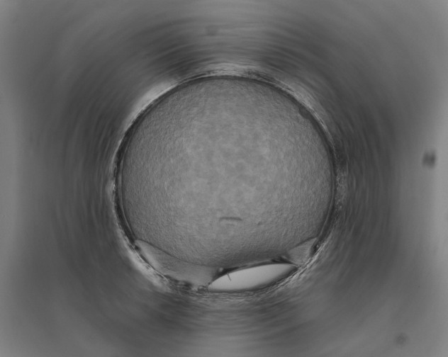 X0000095121042200712301756