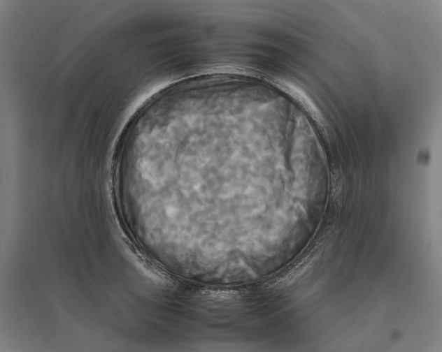 X0000095121043200712301756