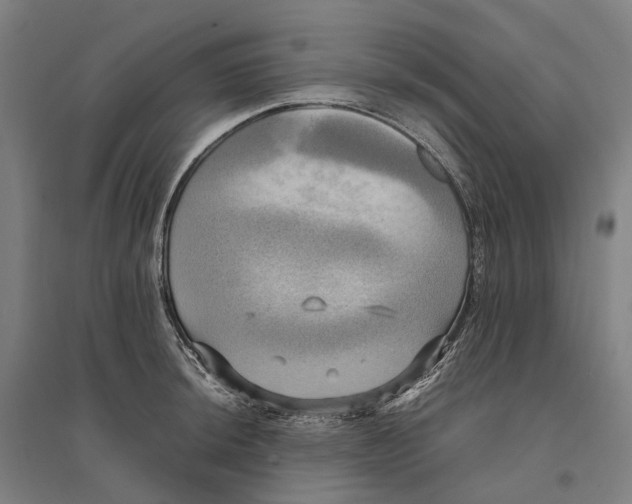 X0000095121044200712301756