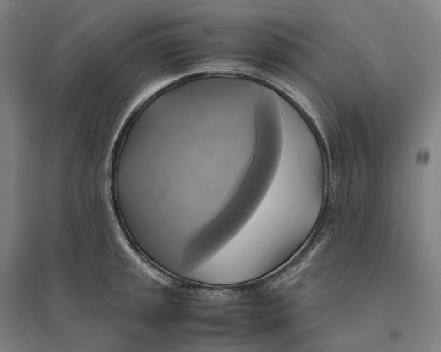 X0000095121045200712301756