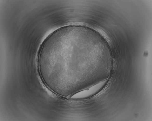 X0000095121046200712301756