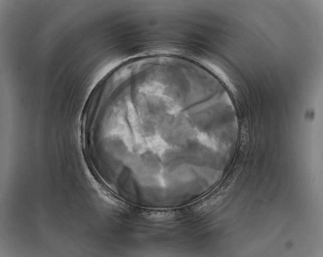 X0000095121047200712301756