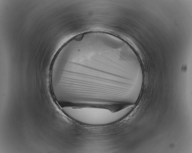 X0000095121048200712301756