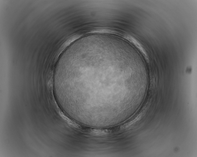 X0000095121049200712301756