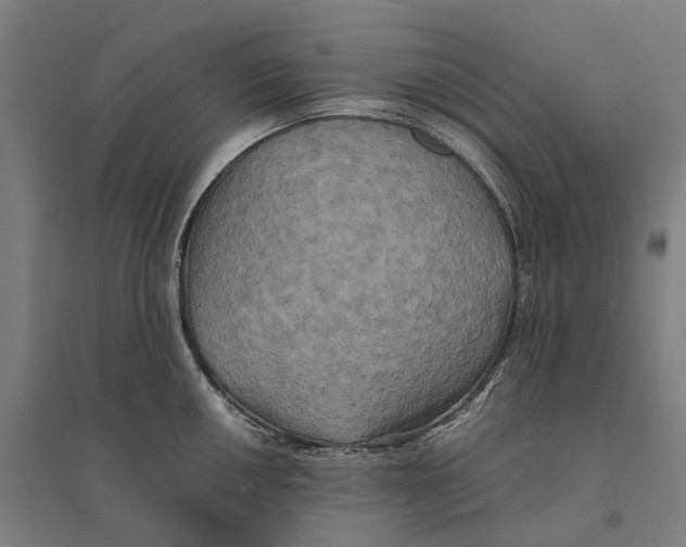 X0000095121050200712301756