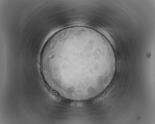 X0000095121051200712301756