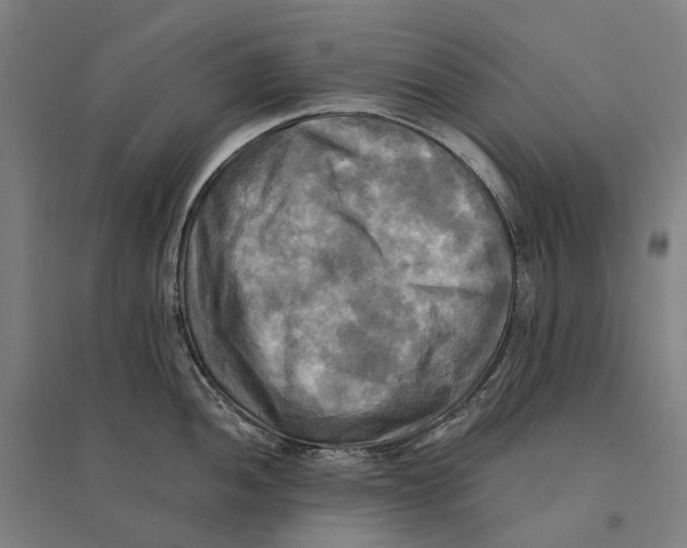 X0000095121052200712301756