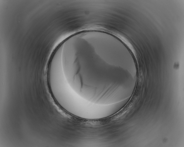 X0000095121053200712301756