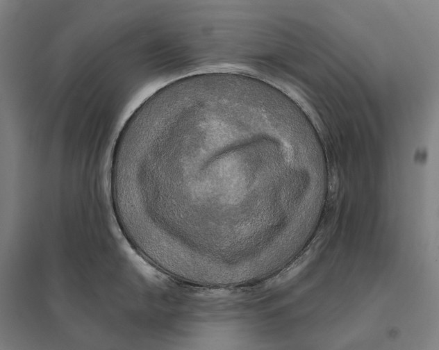 X0000095121054200712301756