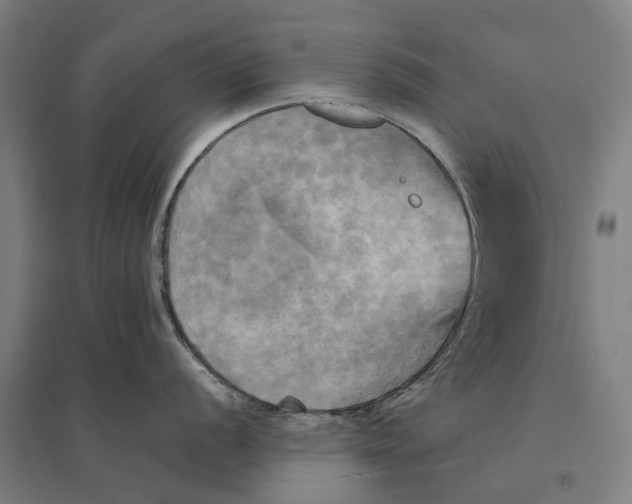 X0000095121056200712301756