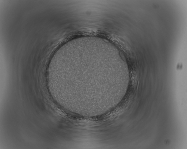 X0000095121057200712301755