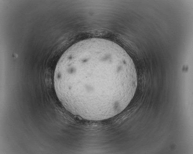 X0000095121058200712301755