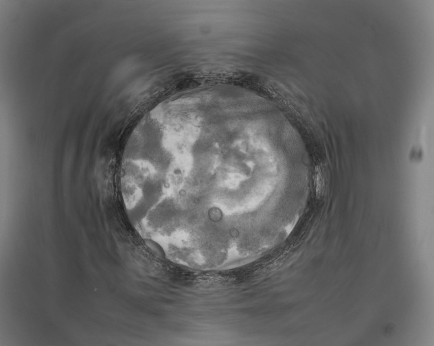 X0000095121059200712301755