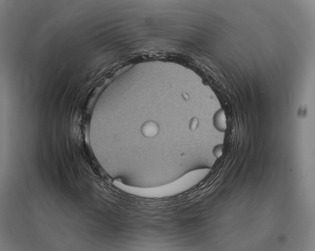 X0000095121060200712301755