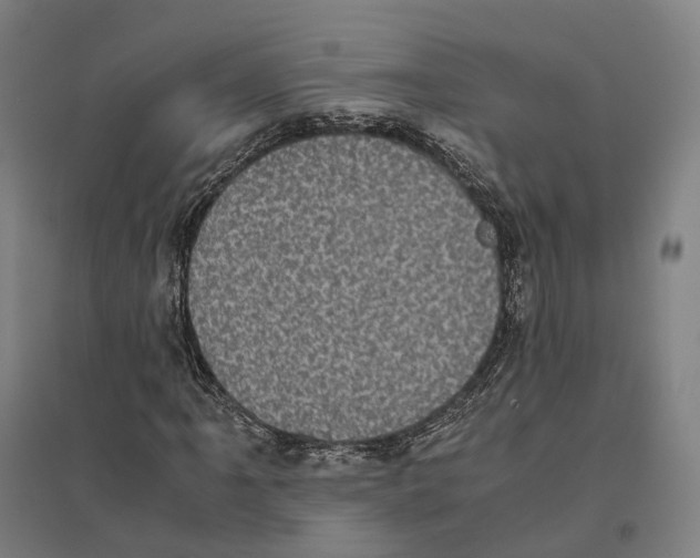 X0000095121061200712301755