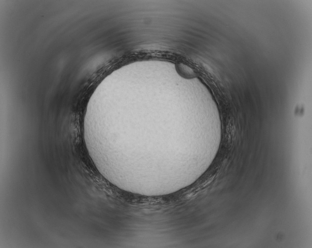 X0000095121062200712301755